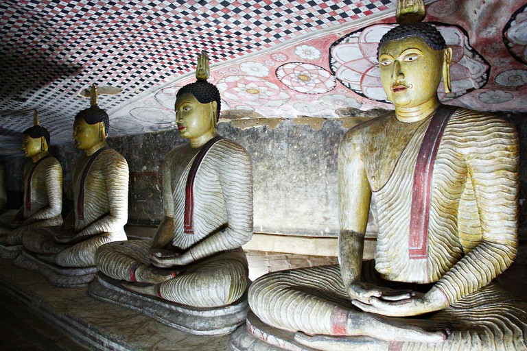 Bandaranaike Airport to Sigiriya Transfer with Highlights