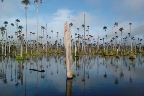 Verken 3 dagen in het Madre de Dios-Inkaterra Amazone Reservaat