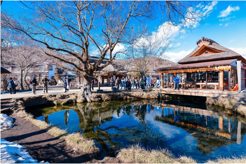 Tokio: tour privado personalizable de 2 días con traslado al hotelTour por la ciudad de Tokio y el Monte Fuji: Conductor y Guía