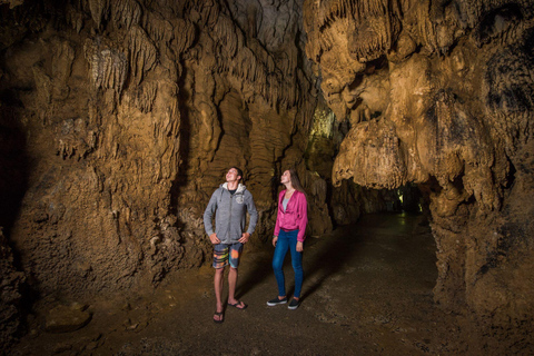 Från Auckland: Waitomogrottorna och Rotorua med Te Puia