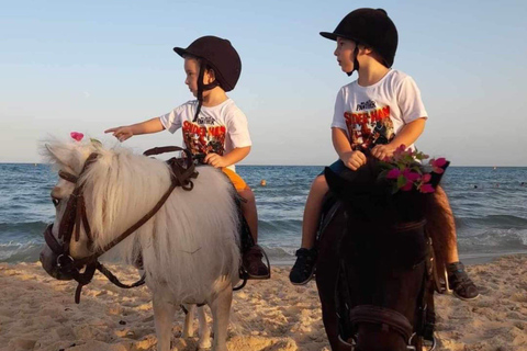 Hammamet : Ridning på stranden