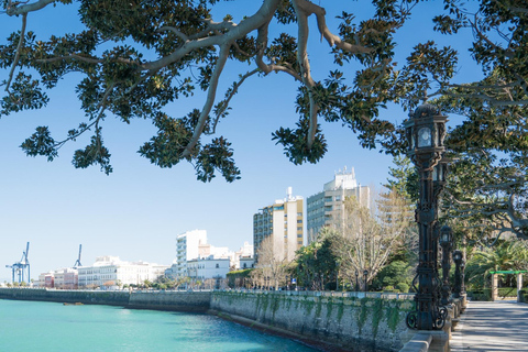 Cádiz: Private Cultural Walking Tour for Cruise Passengers
