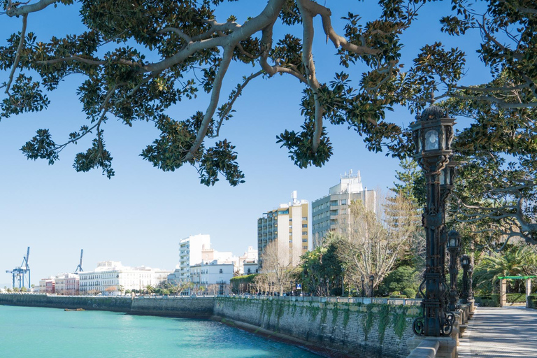 Cádiz: Private Cultural Walking Tour for Cruise Passengers