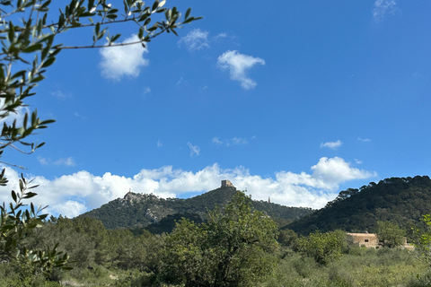 Hiking tour with a dream view of the former monastery of Sant Salvador, 3-4 hours. Hiking tour with fantastic views to the former Sant Salvador monastery 3-4 hrs.