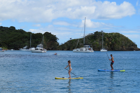 Bay of Islands: Czarter katamaranu żaglowego z lunchem