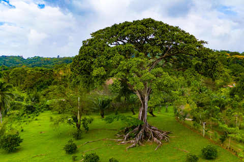 Panama: Rio Piedra Farm Entry Ticket and Hiking Trails