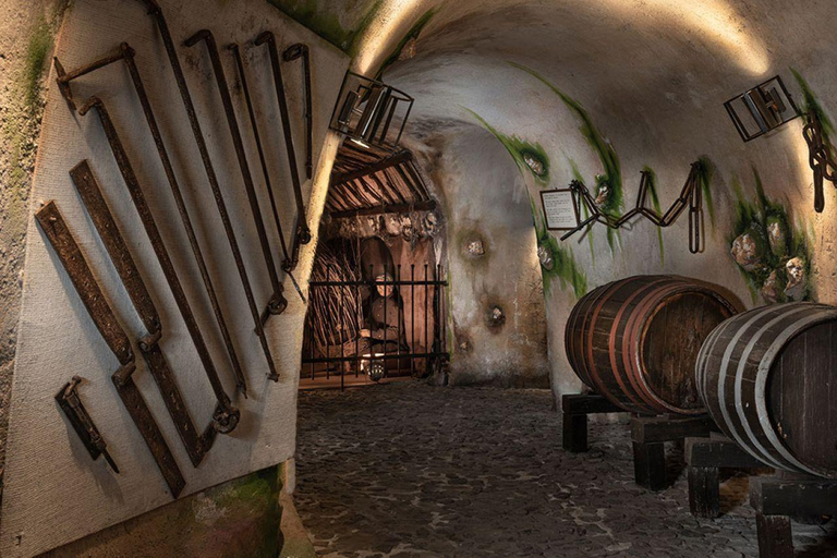 Santorini Visit Cave Wine museum and Wine tasting