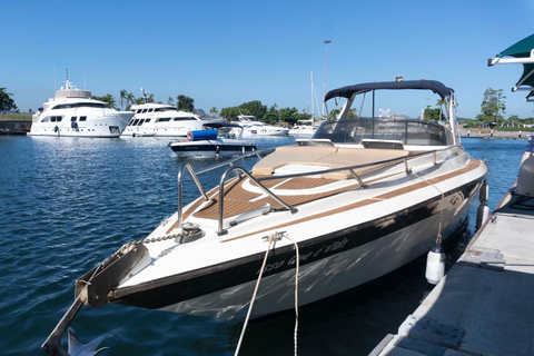 Whale Watching: Boat Adventure