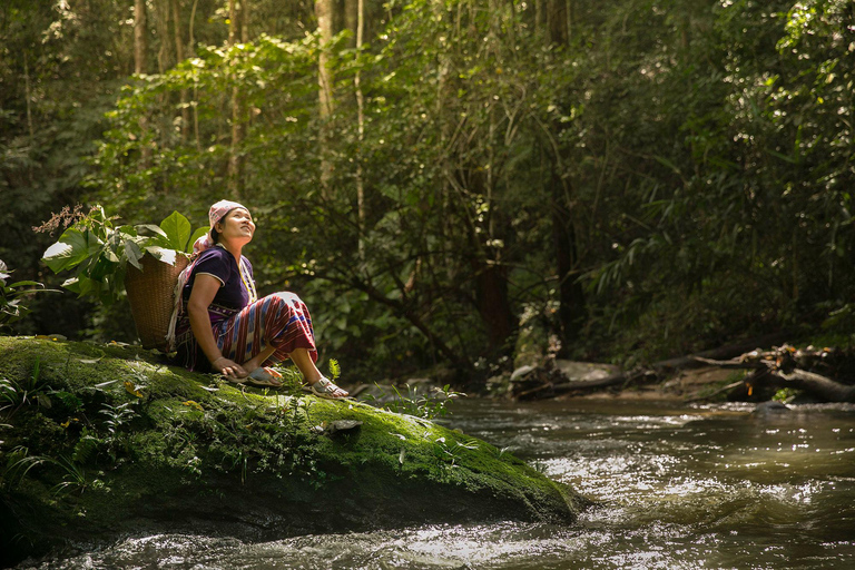 Trekking w Parku Narodowym Doi Inthanon i Pha Dok Siew Trail TrekWycieczka do Parku Narodowego Doi Inthanon i Pha Dok Siew Trail Trek