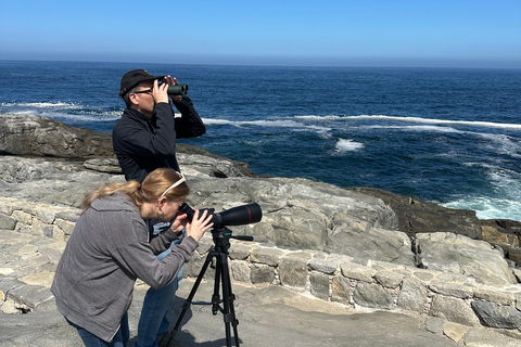 From Valparaiso: Private Mantagua Wetlands & Penguins Tour