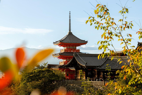 Osaka: Kyoto Private Day Tour