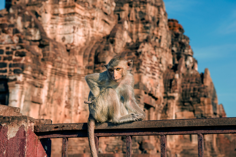 Bangkok: Excursão Ayutthaya e Lopburi - Templo do Macaco