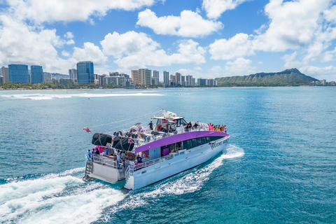 Waikiki: Sunset Slide and Splash Adventure