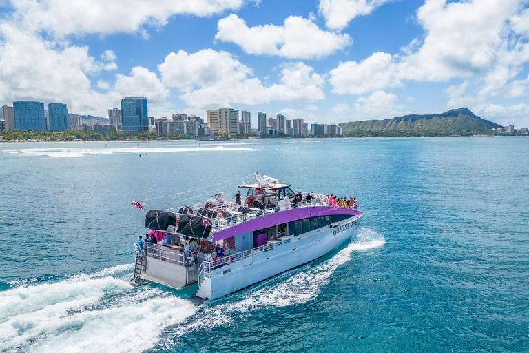 Waikiki: Sunset Slide and Splash Adventure