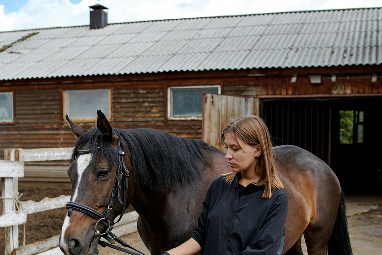El Cotillo: Sunset Cliff Horseback Ride with Drink