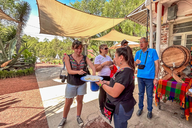 Città del Messico: Piramidi di Teotihuacan e Basilica di Guadalupe