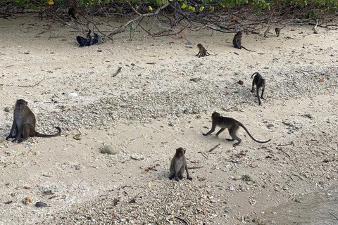 Khao Lak: Khao Na Yak Snorkeling and Monkey Beach Tour