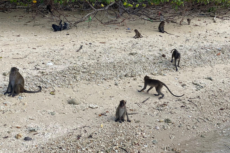 Khao Lak: Khao Na Yak Snorkeling and Monkey Beach Tour
