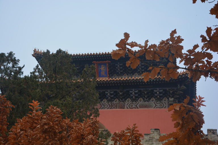 Feng Shui Beijing: Great Wall, Ming Tombs, and Hutongs Tour