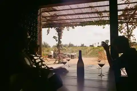 From Barcelona: Visit two wineries in the Priorat region with lunch included.