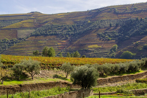 Porto: Douro Valley: An authentic Wine experience with Lunch Guided tour in Portuguese with Pick Up