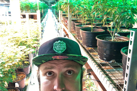 Denver: Wake and Bake Originele Cannabis Tour