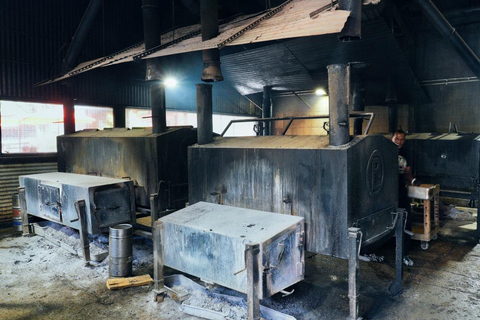 Dallas: 2 or 4-Hour Food & History Tour by Golf Cart Dallas: 4-Hour Food and History Tour by Golf Cart