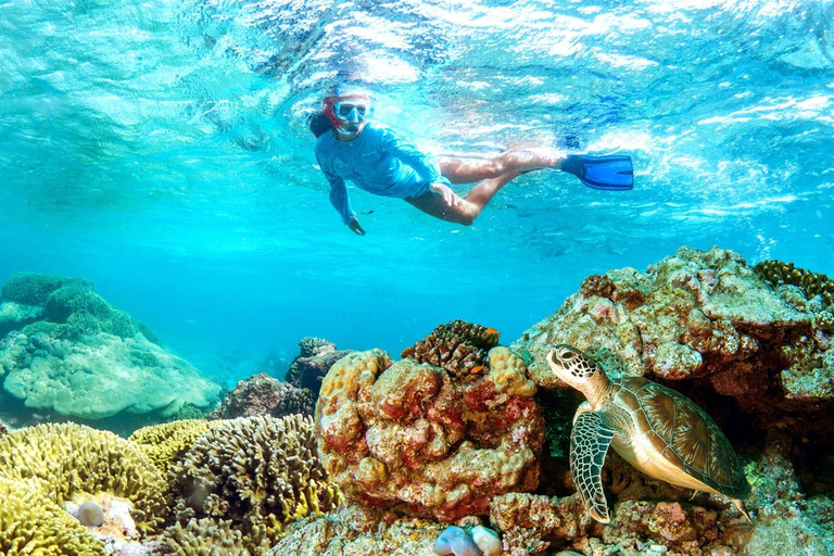 Muscat: Bandar Khayran Island Adventure with Snorkeling