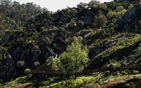 来自Porto，Arouca 516和Paiva人行道指导一日游 - Housity