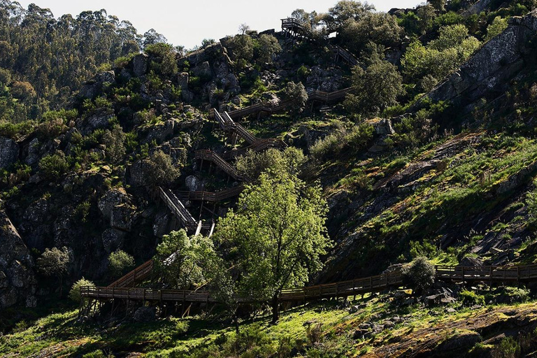 From Porto: Arouca 516 and Paiva Walkways Guided Day Trip