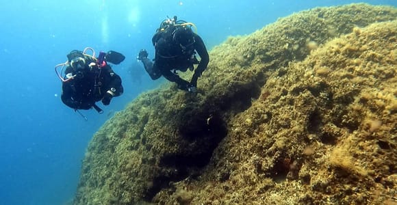 Hvar: Tauchen ausprobieren/Entdecke das Gerätetauchen