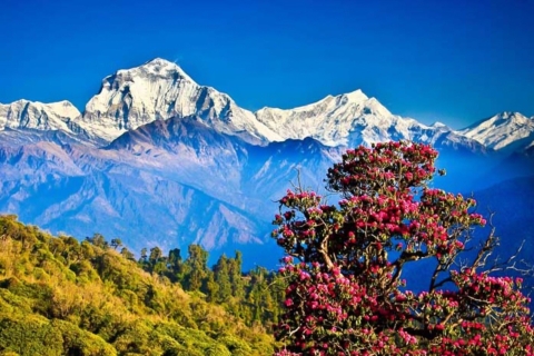 De Katmandou: Trek de 15 jours dans la vallée de Gokyo avec Porter