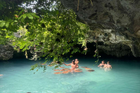 Jozani Forest & Turquoise Waters Turtle Swim at Salaam Cave TOUR WITHOUT HOTEL PICKUP AND DROP OFF
