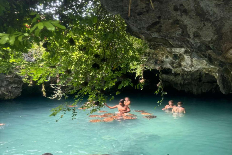 Jozani Forest & Turquoise Waters Turtle Swim at Salaam Cave TOUR WITHOUT HOTEL PICKUP AND DROP OFF