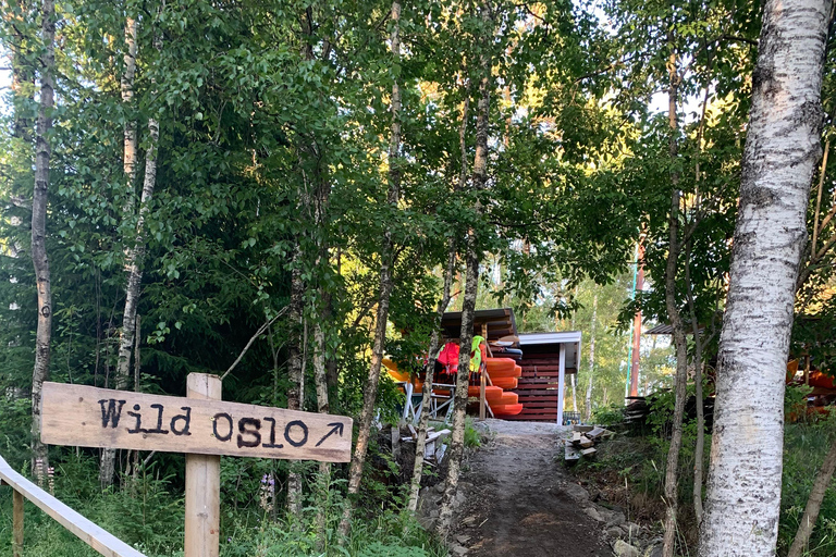 Oslo: Guided Kayak Tour on Lake Langen with Lunch
