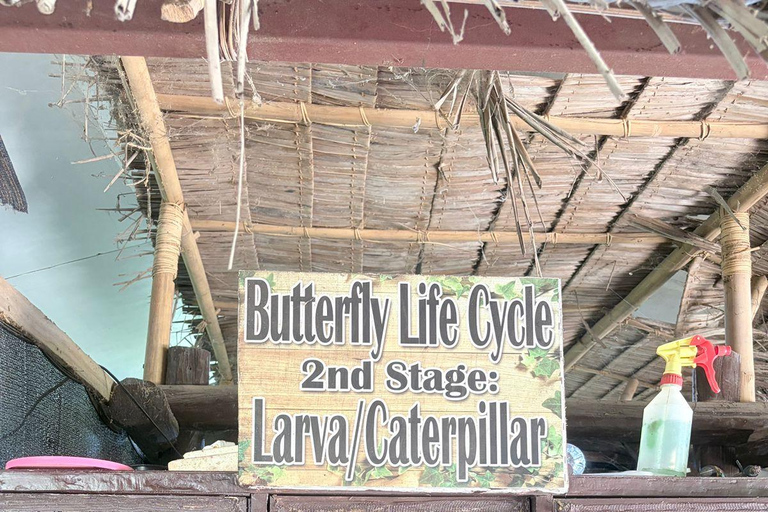 Puerto Princesa City Tour (History, Culture & Shopping)