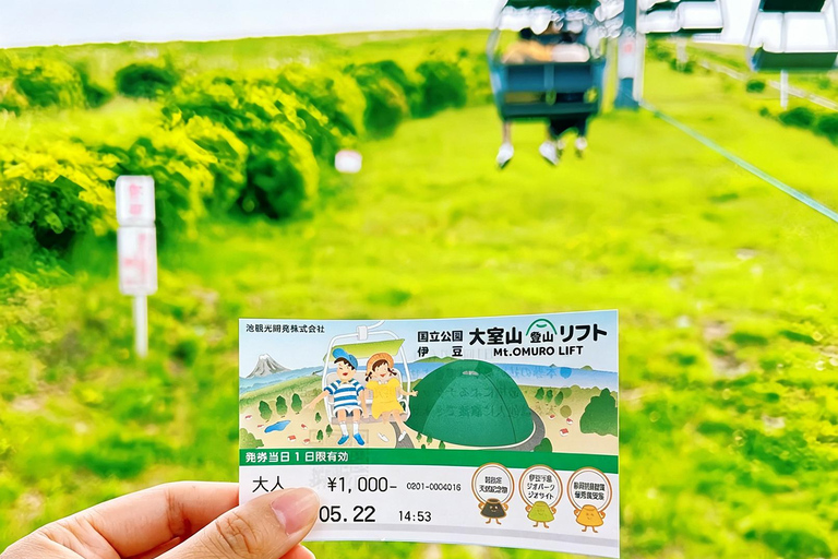 Small Group Day Tour:Omuro Mountain & the Izu Scenic Railway Hotel Transfer Option