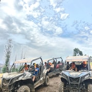 Buggy Experiences