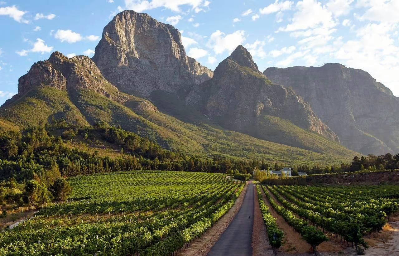 Franschhoek Wine Tram: Hop-On/Hop-Off-Tour ab Kapstadt