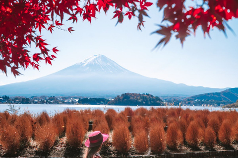 Tokyo To:Mount Fuji And Lake Kawaguchi Full Day Private Tour