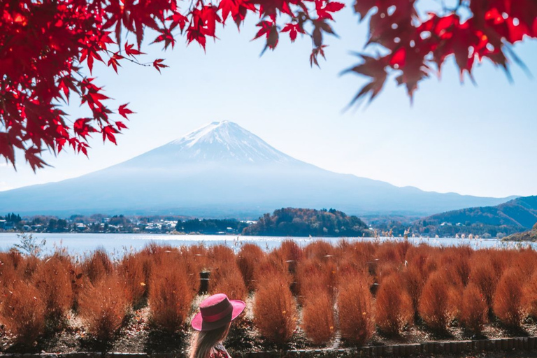 Tokyo To:Mount Fuji And Lake Kawaguchi Full Day Private Tour