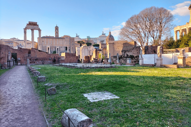 Roma: Tour guidato del Colosseo e della Roma Antica