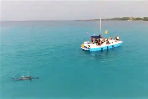 Da Stintino: gita in catamarano nel Golfo dell'Asinara