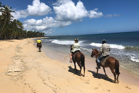 Punta Cana: przejażdżka konna po plażyJazda konna po plaży w Punta Cana
