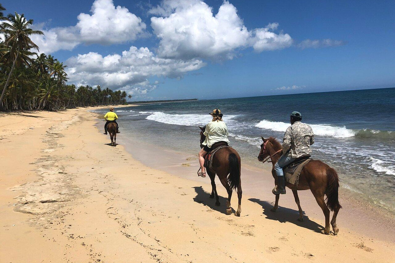 Punta Cana: przejażdżka konna po plażyJazda konna po plaży w Punta Cana