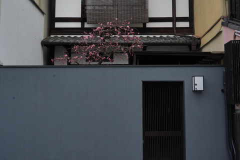One Hour Geisha Show and Kitano Tenmangu Shrine in Kyoto