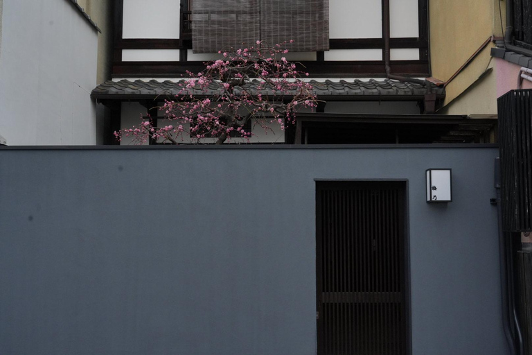 One Hour Geisha Show and Kitano Tenmangu Shrine in Kyoto