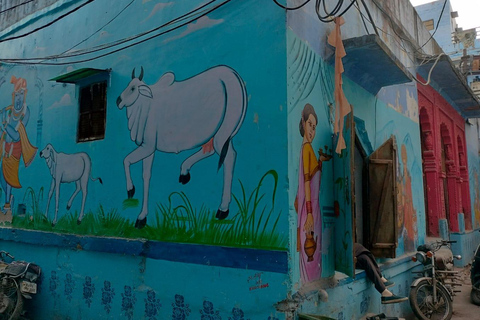 Jodhpur: Mehrangarh Fort, Jaswant Thada & Umaid Bhawan Tour