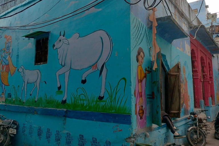 Jodhpur: Mehrangarh Fort, Jaswant Thada & Umaid Bhawan Tour