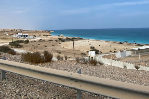 Muscat: Wadi Shab dagsutflykt med upphämtning från hotell